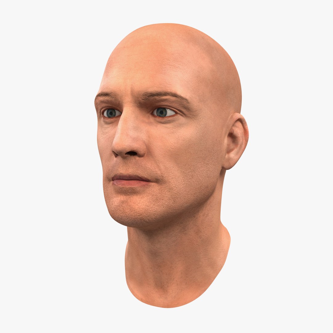 Male Head 6 3D Model 3D model preview