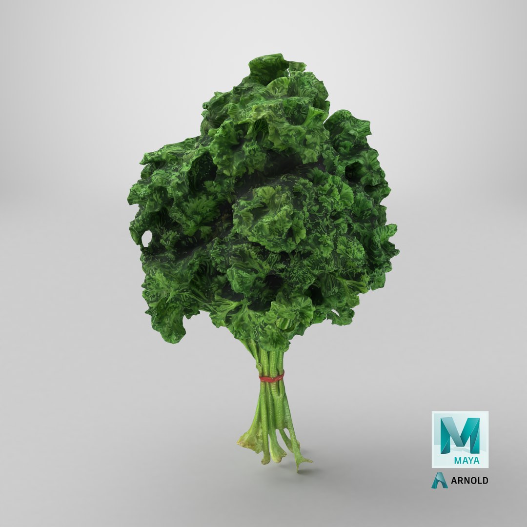 3D Curly Parsley Bunch - Photo Scan https://p.turbosquid.com/ts-thumb/H7/sfh6pg/4W/stemcell_maya_arnold_render/png/1762526346/1920x1080/fit_q87/e2bdf95a713b44dcbea3a60eb3ae6ade052000c9/stemcell_maya_arnold_render.jpg