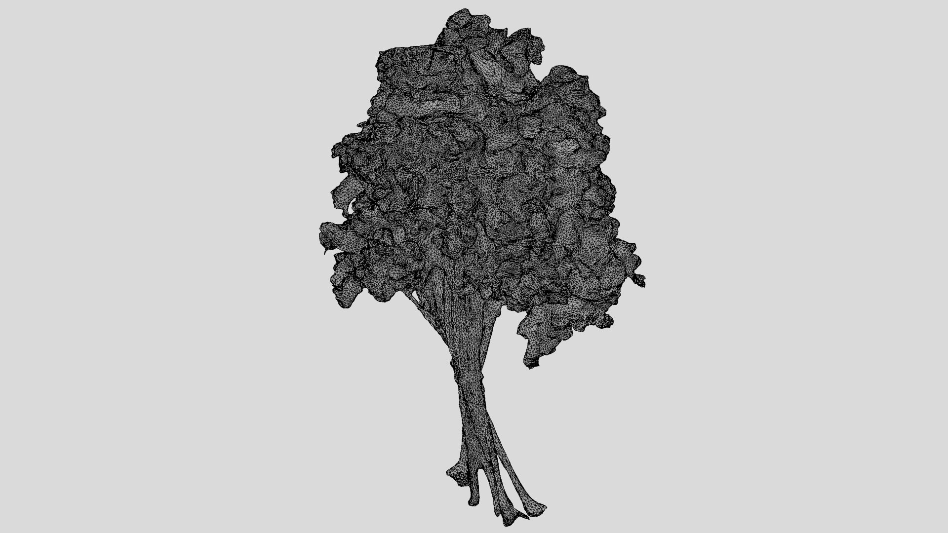 3D Curly Parsley Bunch - Photo Scan https://p.turbosquid.com/ts-thumb/H7/sfh6pg/74/model_0011/png/1762251755/1920x1080/fit_q87/5a3224cc21735b6d8c883c023591b72bbea73cf9/model_0011.jpg