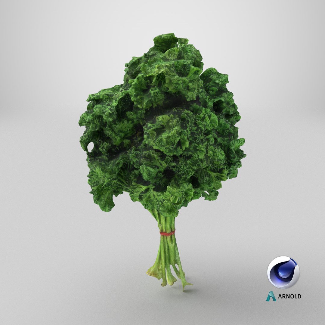 3D Curly Parsley Bunch - Photo Scan https://p.turbosquid.com/ts-thumb/H7/sfh6pg/FG/stemcell_cinema_4d_arnold_render/png/1762526350/1920x1080/fit_q87/a4c6fa07c8bf7e900c3e1f3012df628738c1af7e/stemcell_cinema_4d_arnold_render.jpg