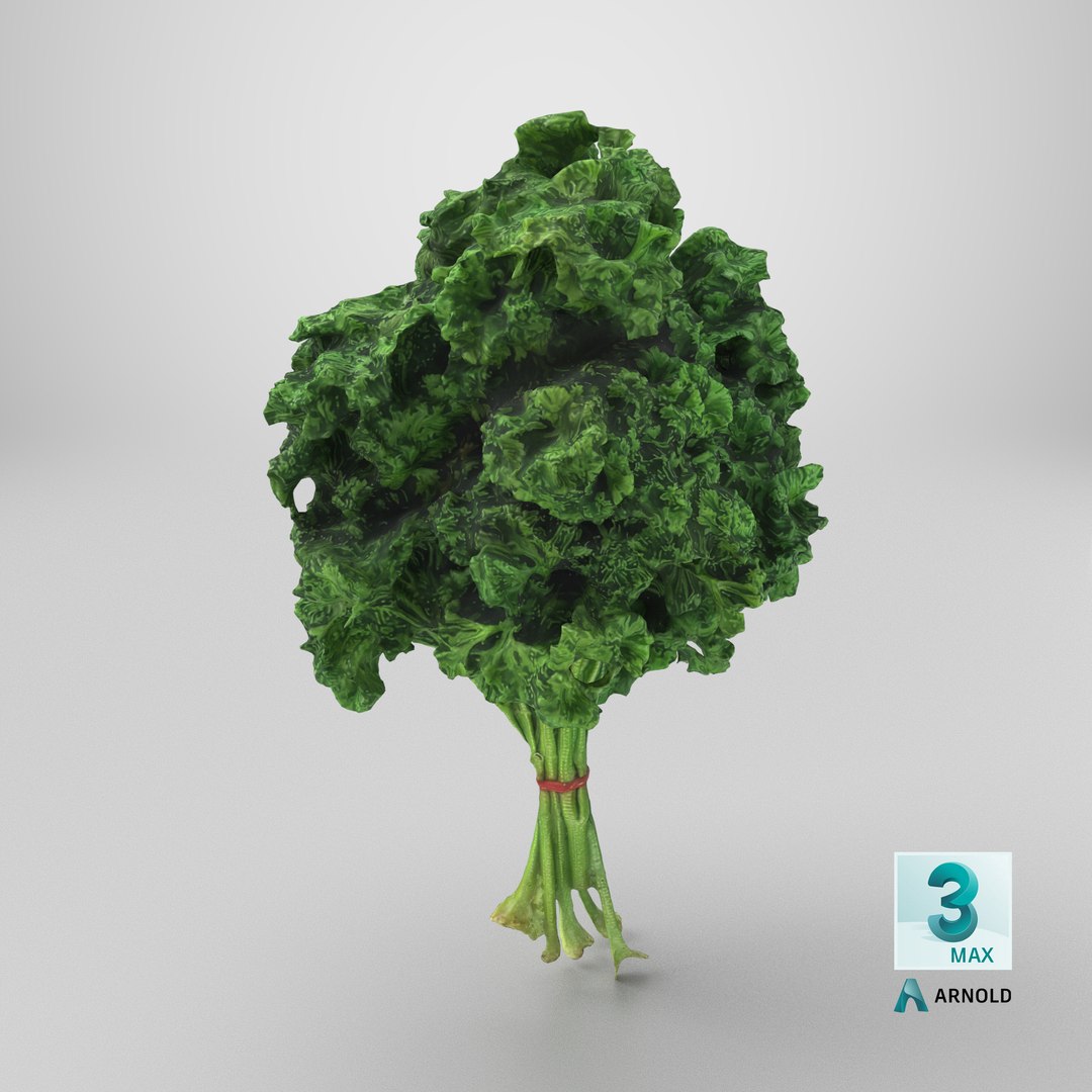 3D Curly Parsley Bunch - Photo Scan https://p.turbosquid.com/ts-thumb/H7/sfh6pg/Sx/stemcell_max_arnold_render/png/1762526355/1920x1080/fit_q87/2aee1b7ef03f7f8a4f3faa8c411ce82795ee8427/stemcell_max_arnold_render.jpg