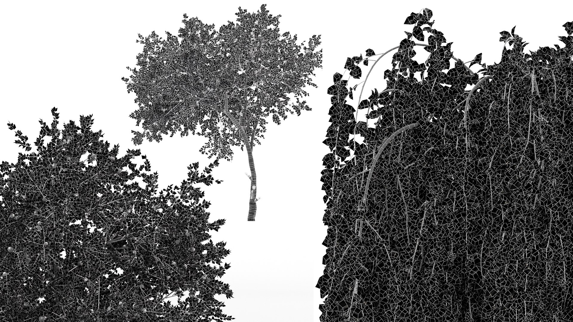 AV Fruit tree lemon and Weeping Mulberry Bagged Ornamental Chaparral 3D model https://p.turbosquid.com/ts-thumb/H7/vBNpAo/P4/07/png/1764059610/1920x1080/fit_q87/18dcf5e1fffdd4f2d72ac3f0f5d835d5826c88ec/07.jpg
