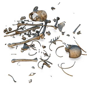bones pile