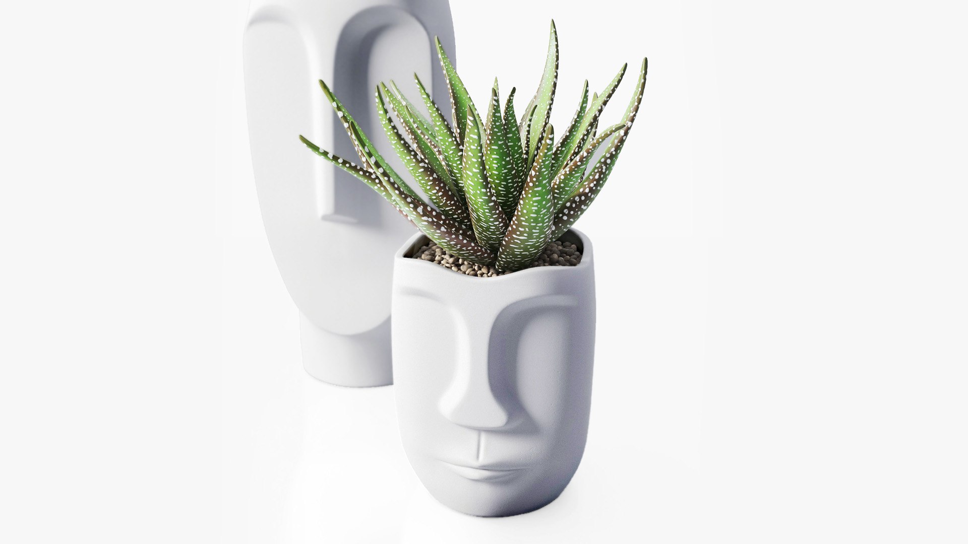 Decor Set Vase 3D - TurboSquid 1901922