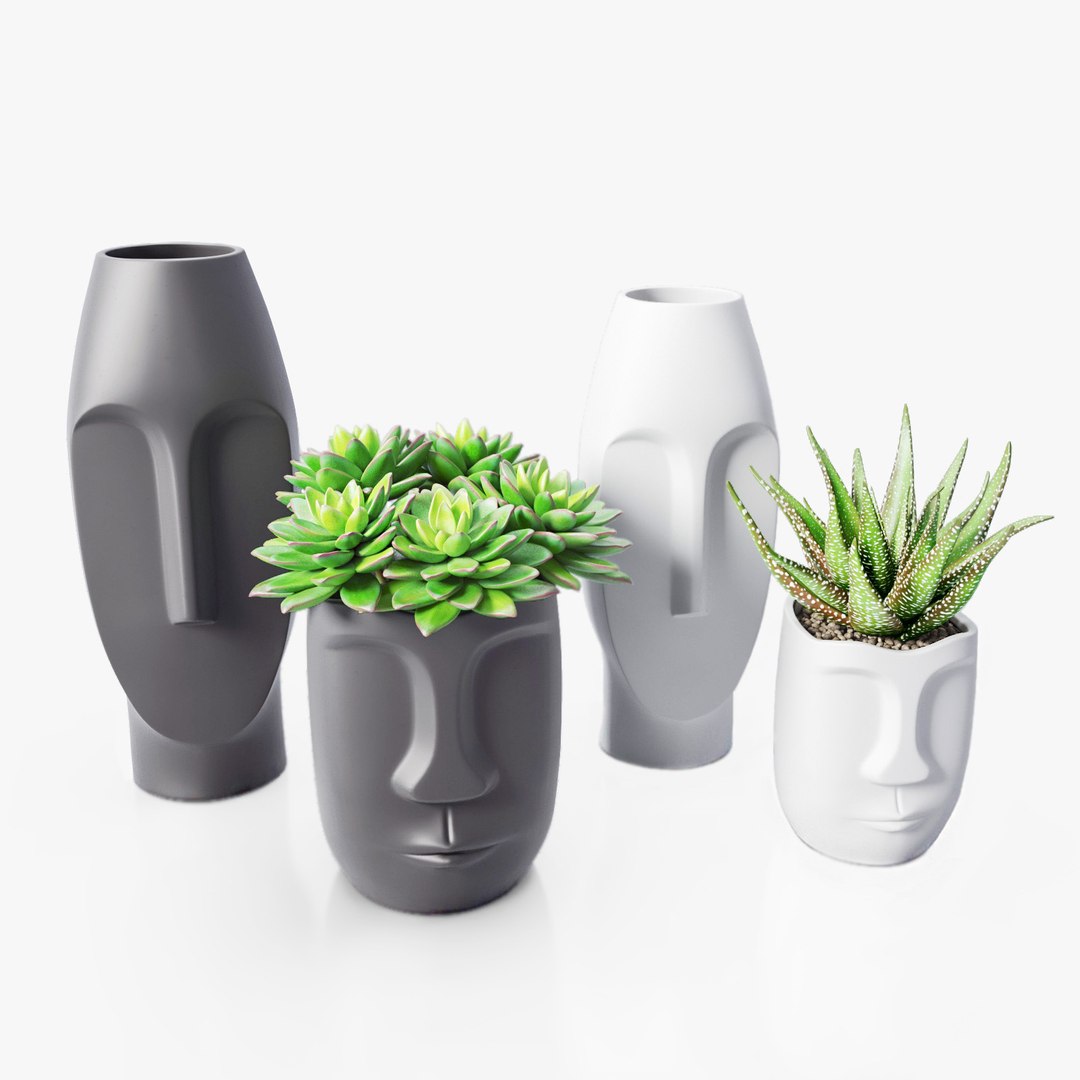Decor Set Vase 3D - TurboSquid 1901922