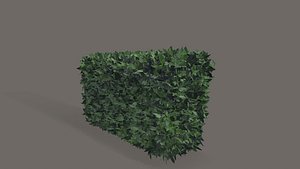 3D Bush