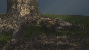Cutted Tree