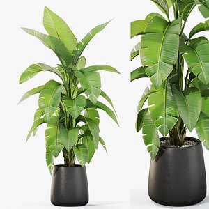 3D Plants collection 1113 model