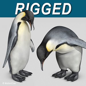 3d emperor penguin model