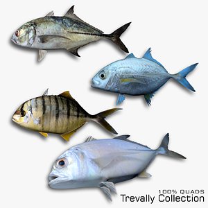 Trevally Collection 3D model
