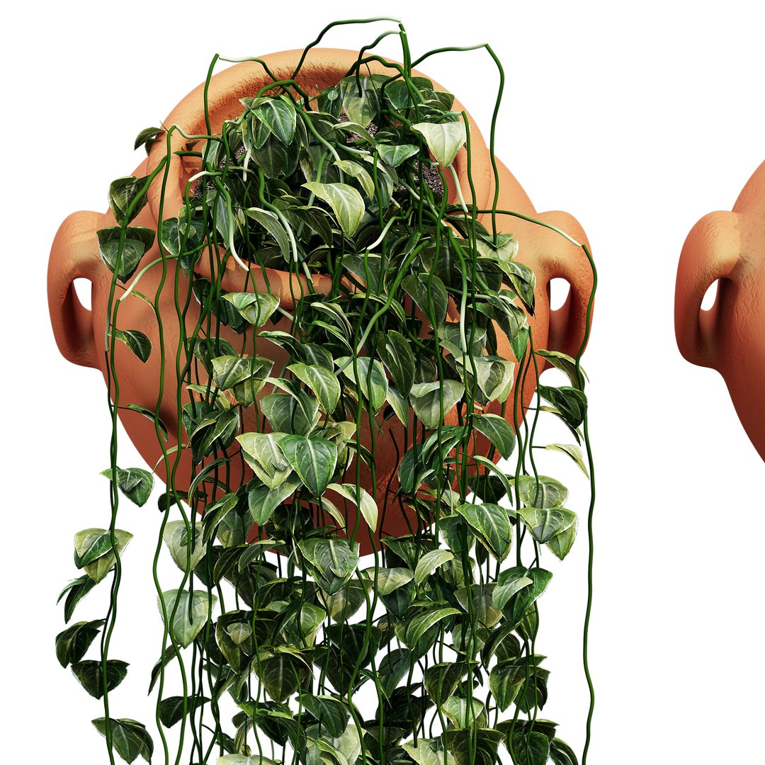 3D model Culley ivy https://p.turbosquid.com/ts-thumb/H8/gUQKPB/Pk/z0dtree_9/jpg/1705137894/1920x1080/fit_q87/098222055a057c27332c9e2a6bb4ace32b175526/z0dtree_9.jpg