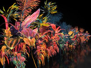 pandora flower 3D model