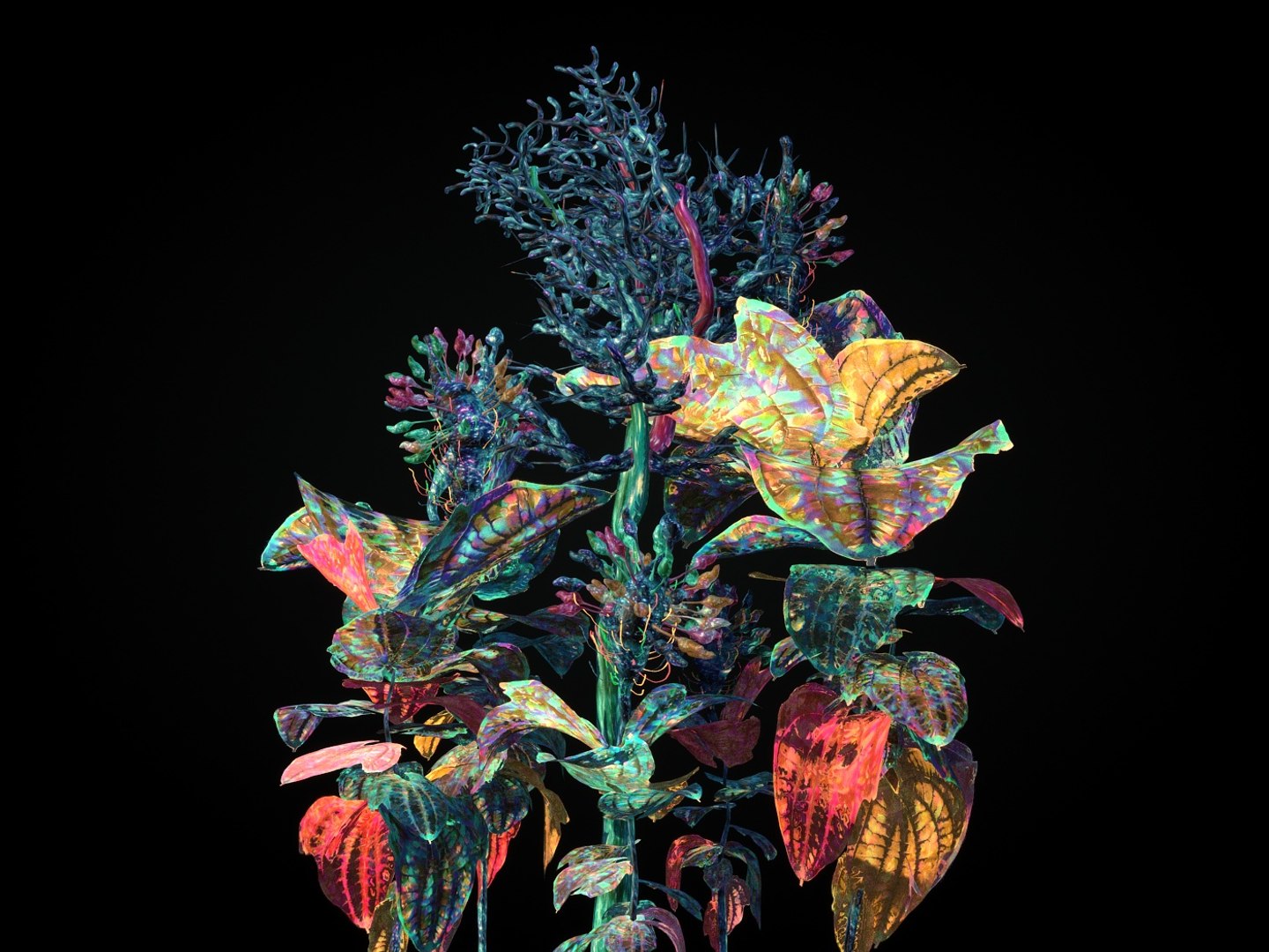 pandora flower 3D model https://p.turbosquid.com/ts-thumb/H8/kdGTHy/JgIkWjiC/789/jpg/1581721834/1920x1080/fit_q87/1de2d0e4596ce5c6b8404022c529f649691a256b/789.jpg