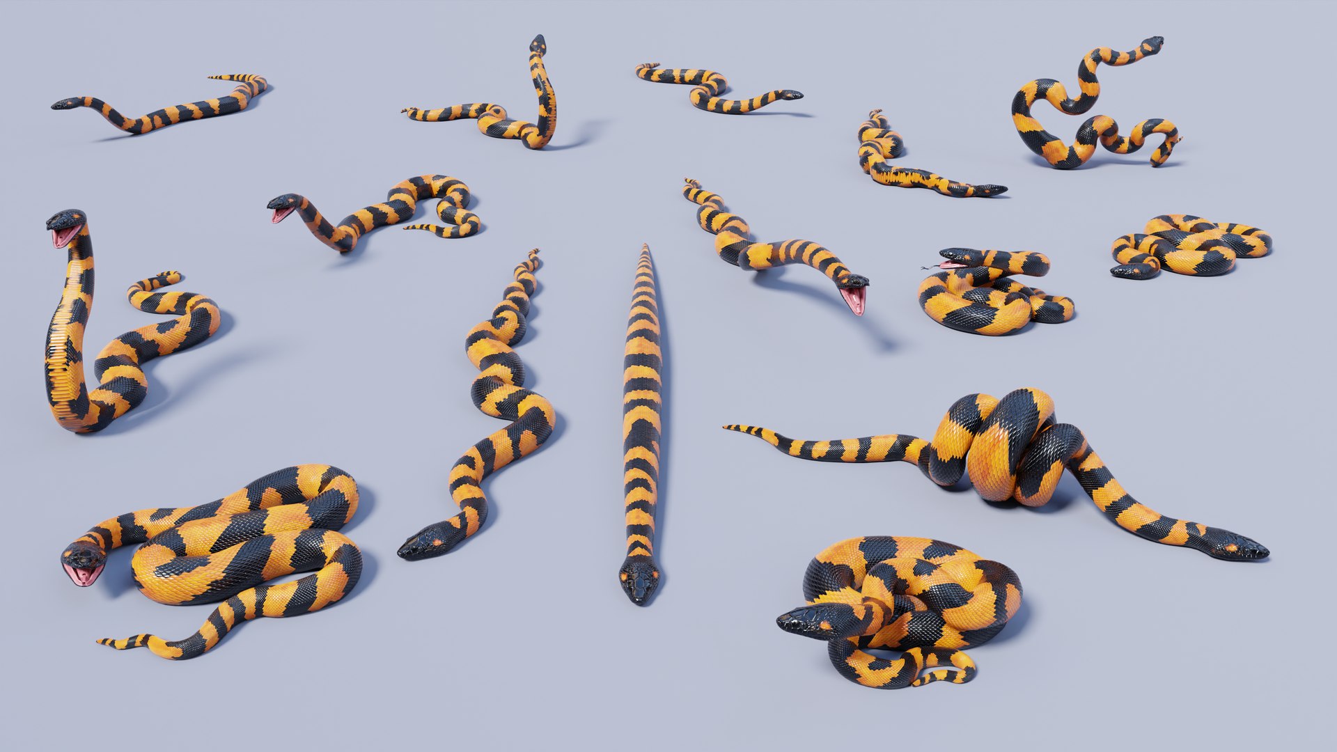 3D Bismarck Ringed Python - Static Poses - TurboSquid 2020535