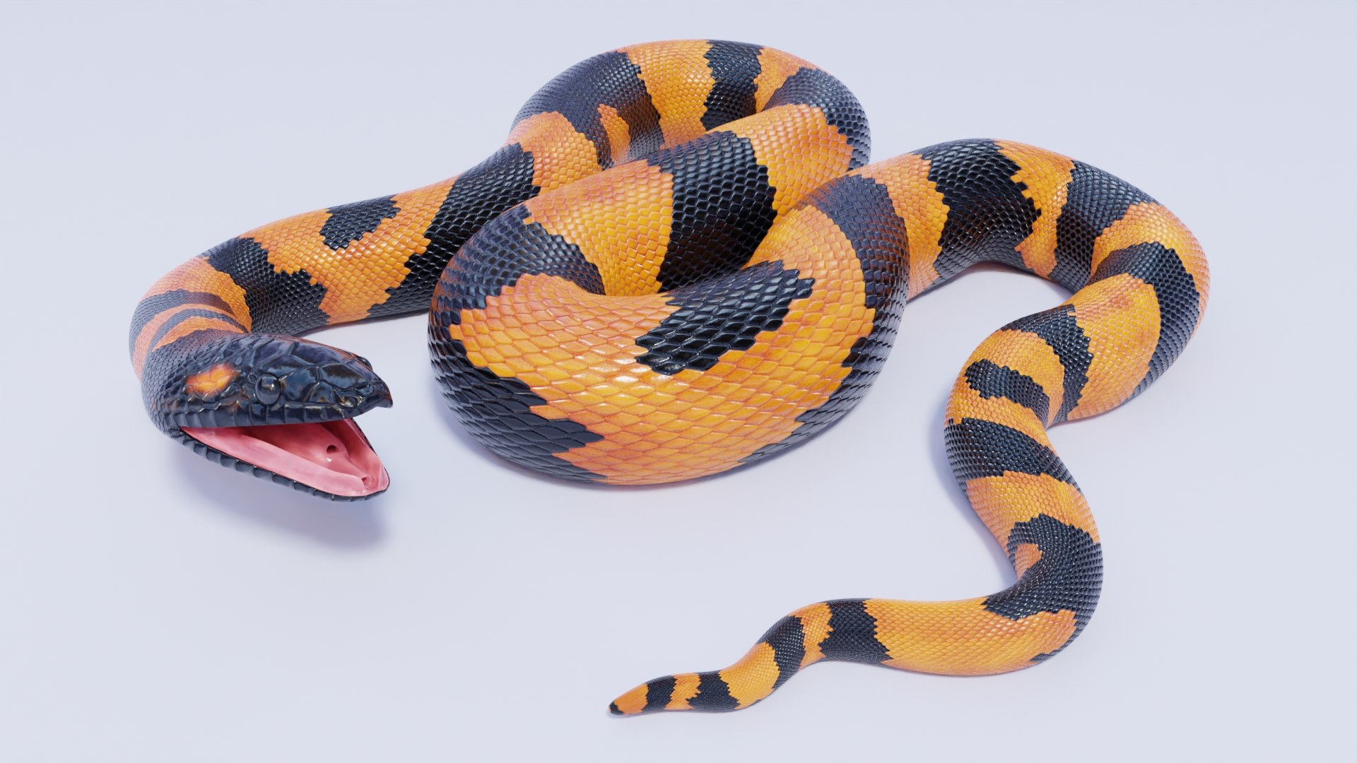 3D Bismarck Ringed Python - Static Poses - TurboSquid 2020535