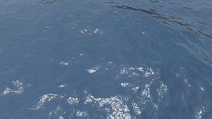 Ocean Animated