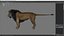 Tobias Lion Maya rig