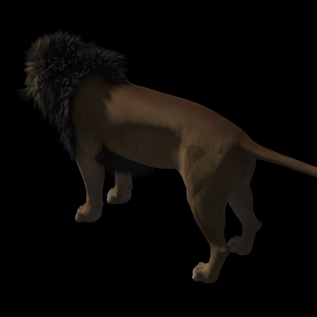 tobias lion rig 3D https://p.turbosquid.com/ts-thumb/H9/0InLJl/NVjkJr3L/r4/jpg/1560337120/1920x1080/fit_q87/93db62e2da543605e6700ad795713b11ceb09f90/r4.jpg