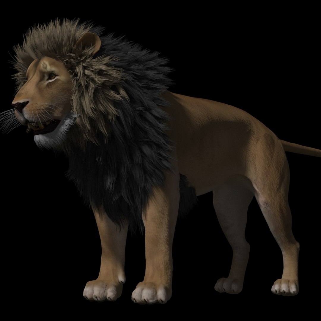 tobias lion rig 3D https://p.turbosquid.com/ts-thumb/H9/0InLJl/VK4XGB1x/r3/jpg/1560337120/1920x1080/fit_q87/47f7d92ba04cc5c4af552f1d4b4cb196d0b62f48/r3.jpg