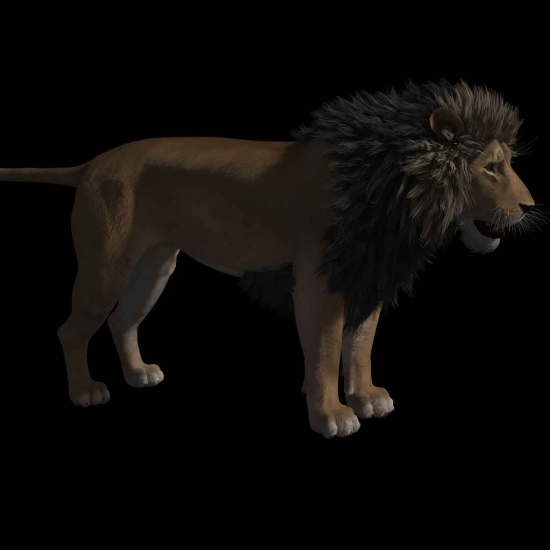 tobias lion rig 3D https://p.turbosquid.com/ts-thumb/H9/0InLJl/tKgJfwIs/r5/jpg/1560337120/1920x1080/fit_q87/ee5fc31878a5430d286bcf29dd3d1add1cdfea28/r5.jpg