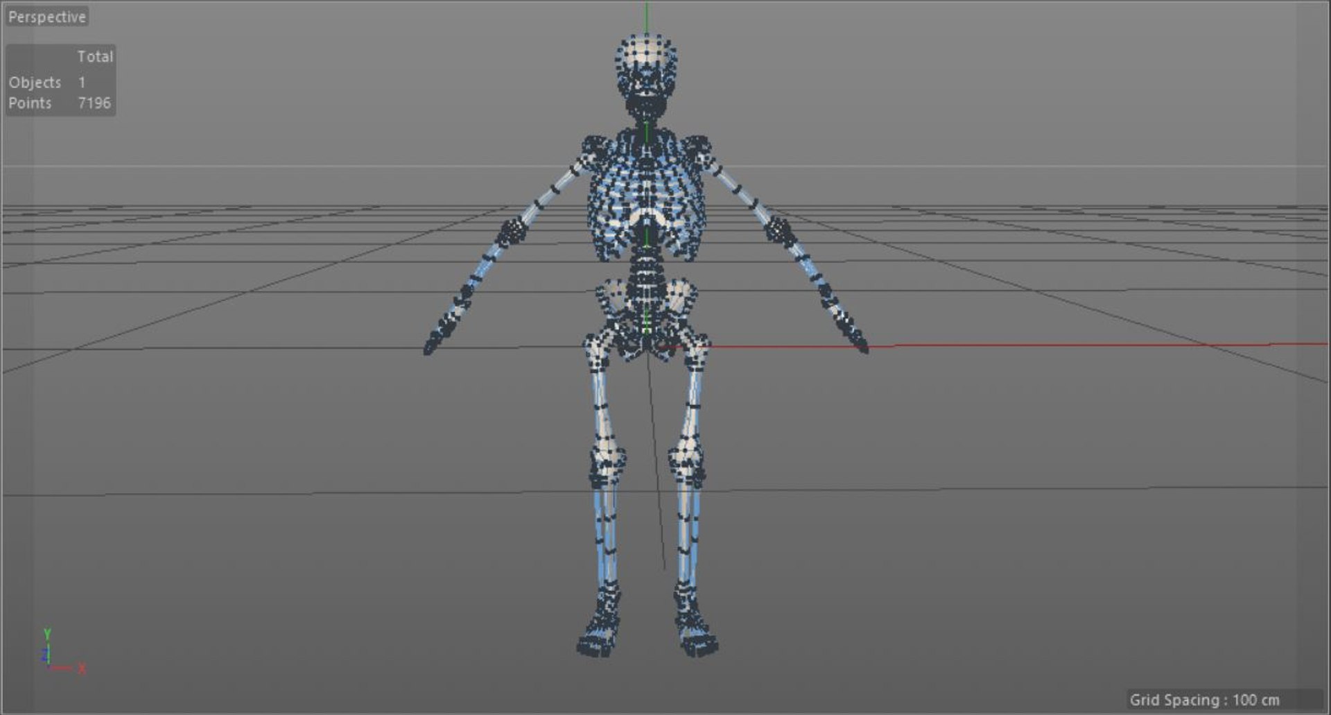 3D Human Skeleton Anatomy Biology Diagrams