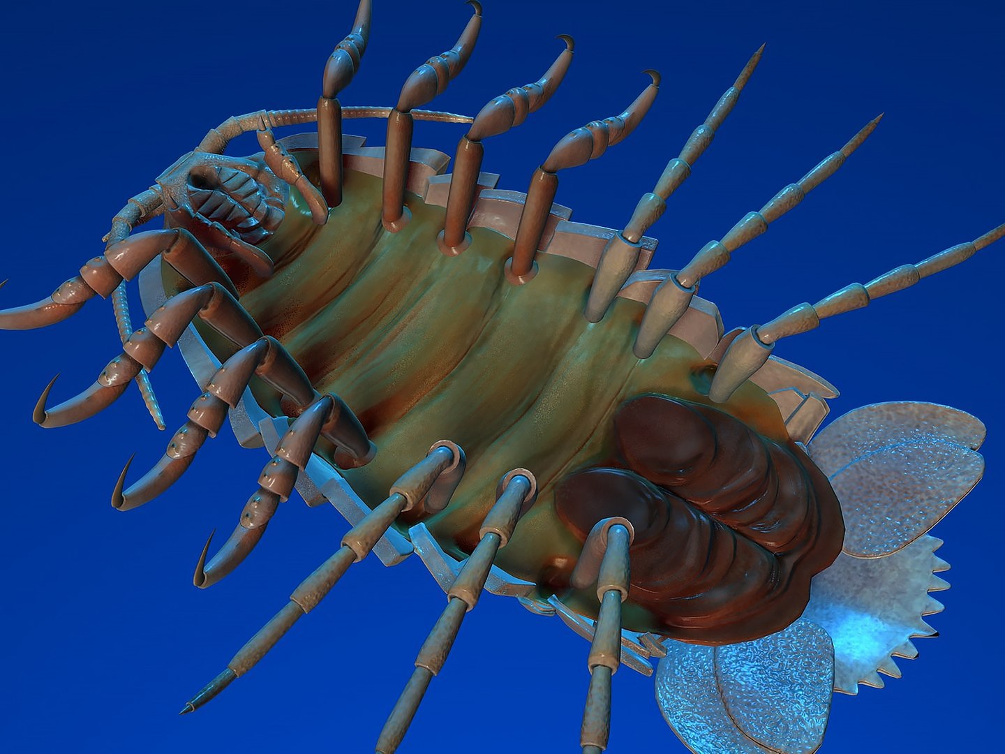 max giant isopod https://p.turbosquid.com/ts-thumb/H9/0lyn6v/zo/r03/jpg/1739197992/1920x1080/fit_q87/20032020f4b0629741e861be627284c38576242f/r03.jpg
