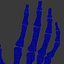Wrist and Hand