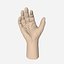Wrist and Hand