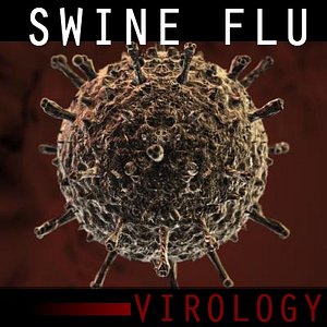 swine influenza virus 3d model