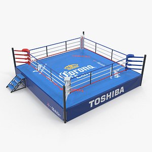 boxing ring 3D