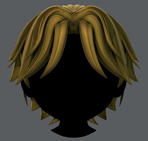 hair style boy v33 model