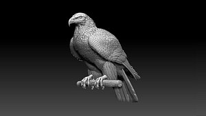 eagle 3D