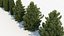 Juniperus communis Common Juniper 3D model