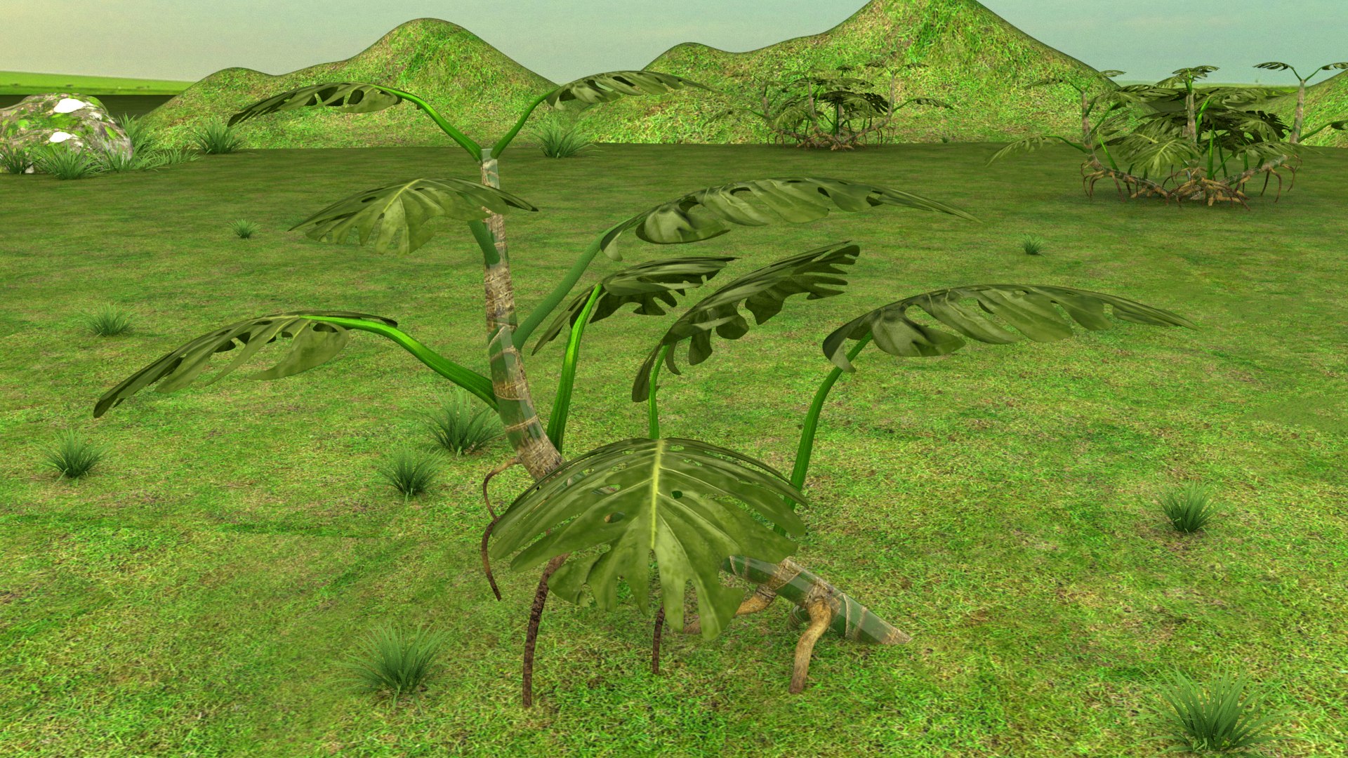 3D Monstera Plant model https://p.turbosquid.com/ts-thumb/H9/VsFRKz/eV/11111/jpg/1620416927/1920x1080/fit_q87/ab4a66be2e3e34705be16edc00a4f9c034c65293/11111.jpg