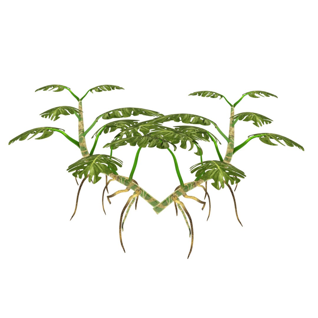 3D Monstera Plant model https://p.turbosquid.com/ts-thumb/H9/VsFRKz/fT/1200_01/jpg/1620418001/1920x1080/fit_q87/8505f01f3b7d4e325c533aad2125dc235ed050bb/1200_01.jpg