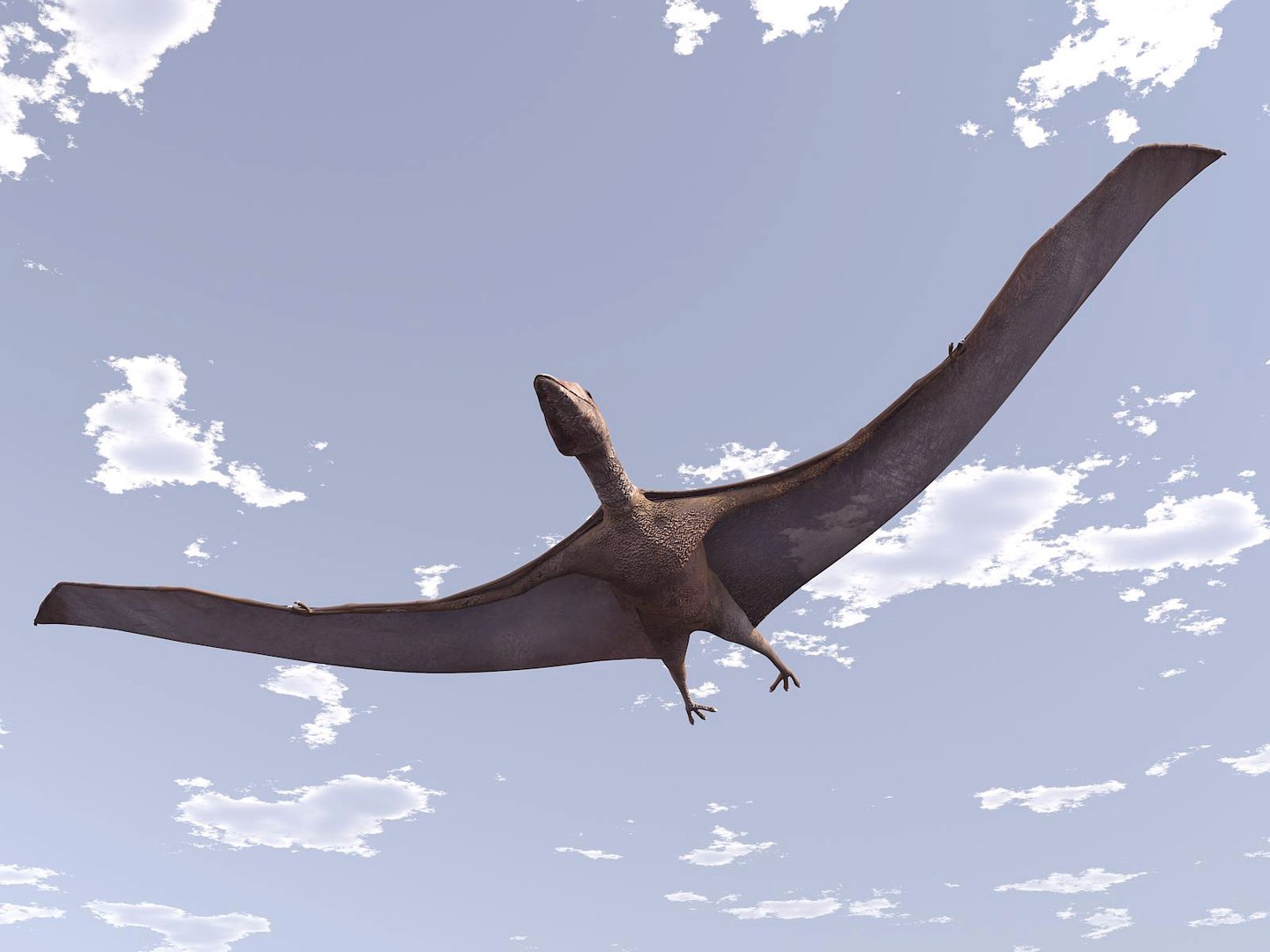 pteranodon 3d max https://p.turbosquid.com/ts-thumb/H9/XhpVPB/Z6GP5jUK/tavola4/jpg/1424944854/1920x1080/fit_q87/9fac0d7105f5b7944ca236079abe7f401d9d18f8/tavola4.jpg