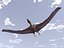 Pteranodon