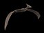 Pteranodon