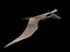 Pteranodon
