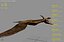 Pteranodon