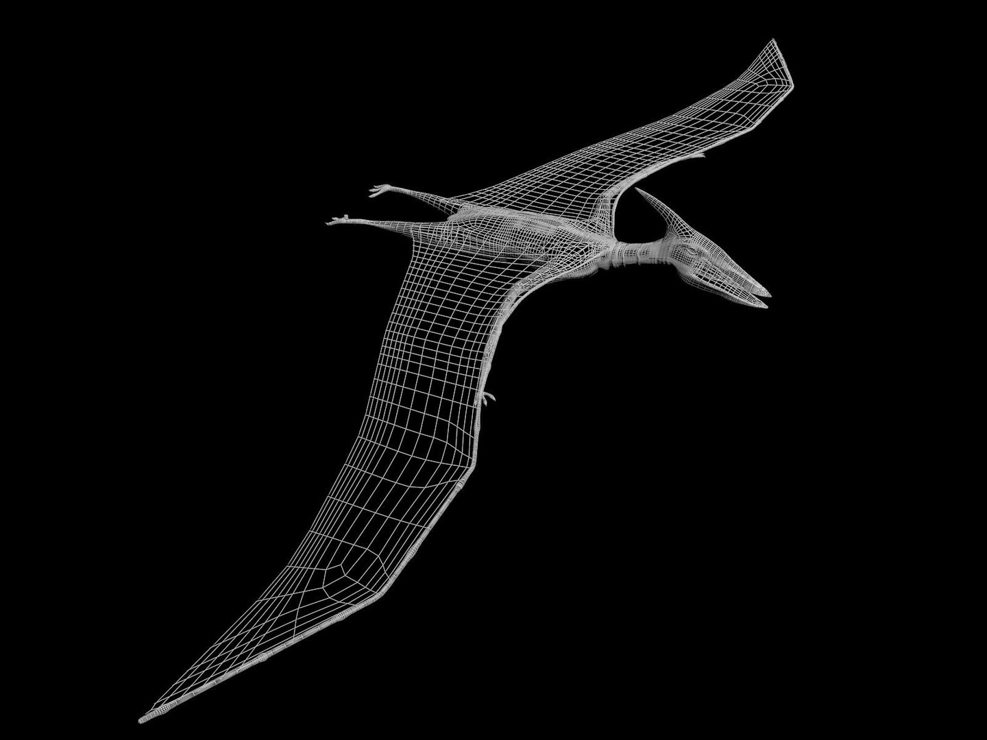 pteranodon 3d max https://p.turbosquid.com/ts-thumb/H9/XhpVPB/vXWzyB1D/tavola9wire/jpg/1424944854/1920x1080/fit_q87/5ab0162d4ae70982cb7aea546007be52fa818e8a/tavola9wire.jpg
