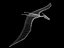 Pteranodon