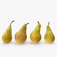 Pears Conference 03-06 Hi Poly Version