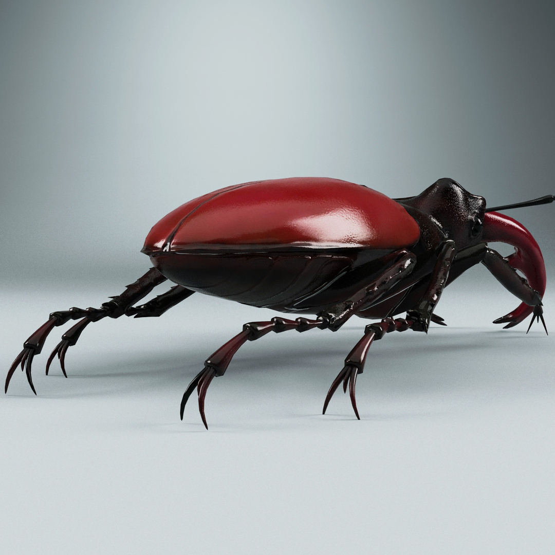 insects v6 3d model