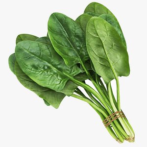 Spinach Bunch 3D