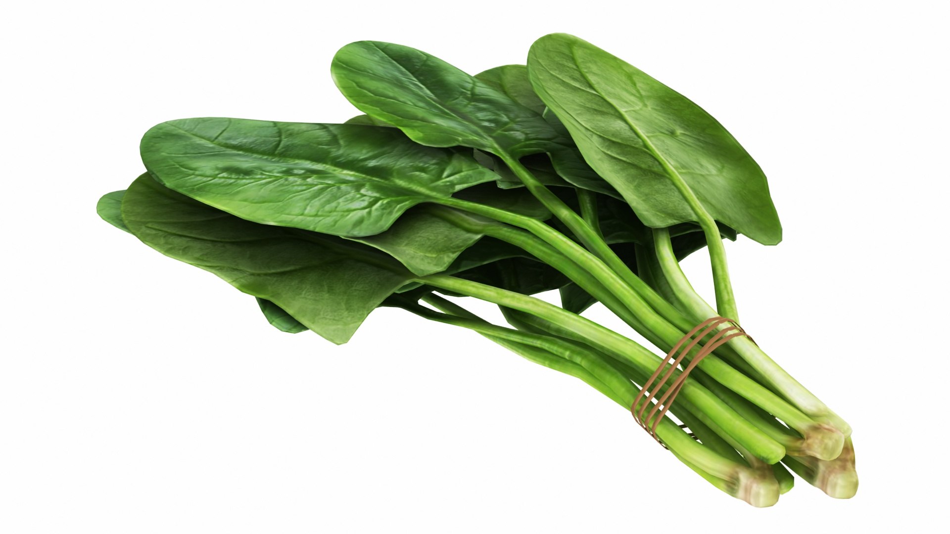 Spinach Bunch 3D https://p.turbosquid.com/ts-thumb/H9/xEijKh/KL/spinachbunch8/jpg/1768739768/1920x1080/fit_q87/4854feaa6aace21c4f9ba7cd89fba9befc14a8b2/spinachbunch8.jpg