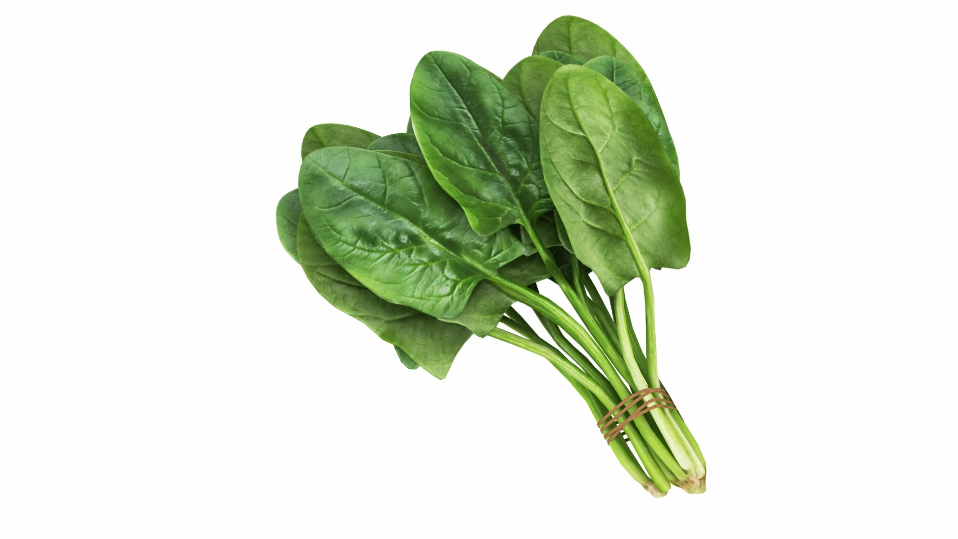 Leafy and Shrub Vegetables 3D https://p.turbosquid.com/ts-thumb/H9/xEijKh/KY/spinachbunch1/jpg/1768740002/1920x1080/fit_q87/f1295c5f162c002d5ea1f3284572eb8da53084a8/spinachbunch1.jpg