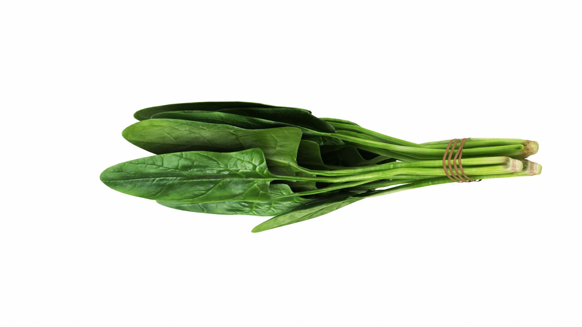 Spinach Bunch 3D https://p.turbosquid.com/ts-thumb/H9/xEijKh/Rp/spinachbunch7/jpg/1768739767/1920x1080/fit_q87/05af81a53fdb5ecf6f2ec315ac67de18a1ad4048/spinachbunch7.jpg