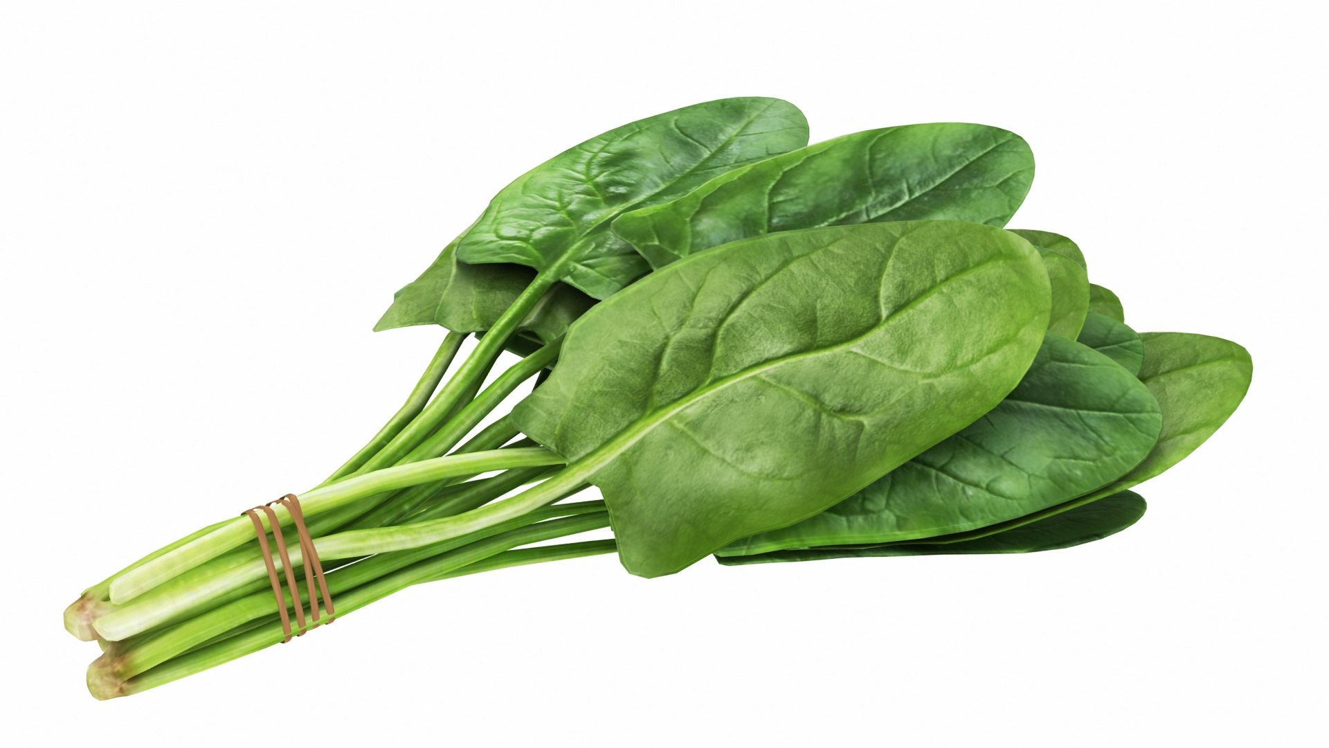 Spinach Bunch 3D https://p.turbosquid.com/ts-thumb/H9/xEijKh/WB/spinachbunch3/jpg/1768739766/1920x1080/fit_q87/beb5c30569f53b24a3cdeb06ecf62e0d2986cae5/spinachbunch3.jpg