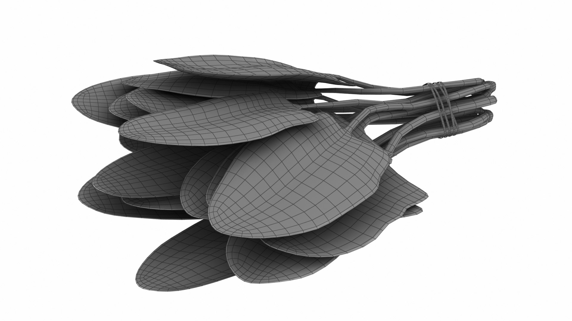 Spinach Bunch 3D https://p.turbosquid.com/ts-thumb/H9/xEijKh/Xc/spinachbunch10/jpg/1768739769/1920x1080/fit_q87/e696db9d111ef1478173471a185400bca4205fb7/spinachbunch10.jpg